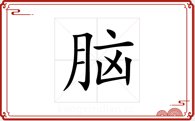 脑